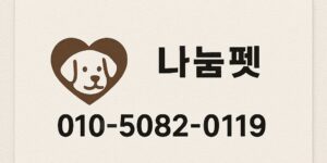 백석동 말티푸 무료분양