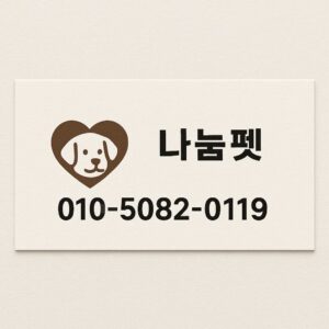 일산 강아지무료분양