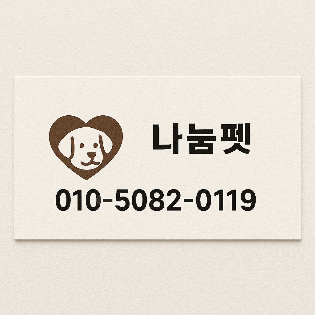 일산 백석동 말티푸 무료분양 사랑스러운 반려견을 새로운 가족에게 - 디자인독