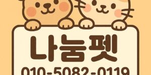 백석동강아지분양