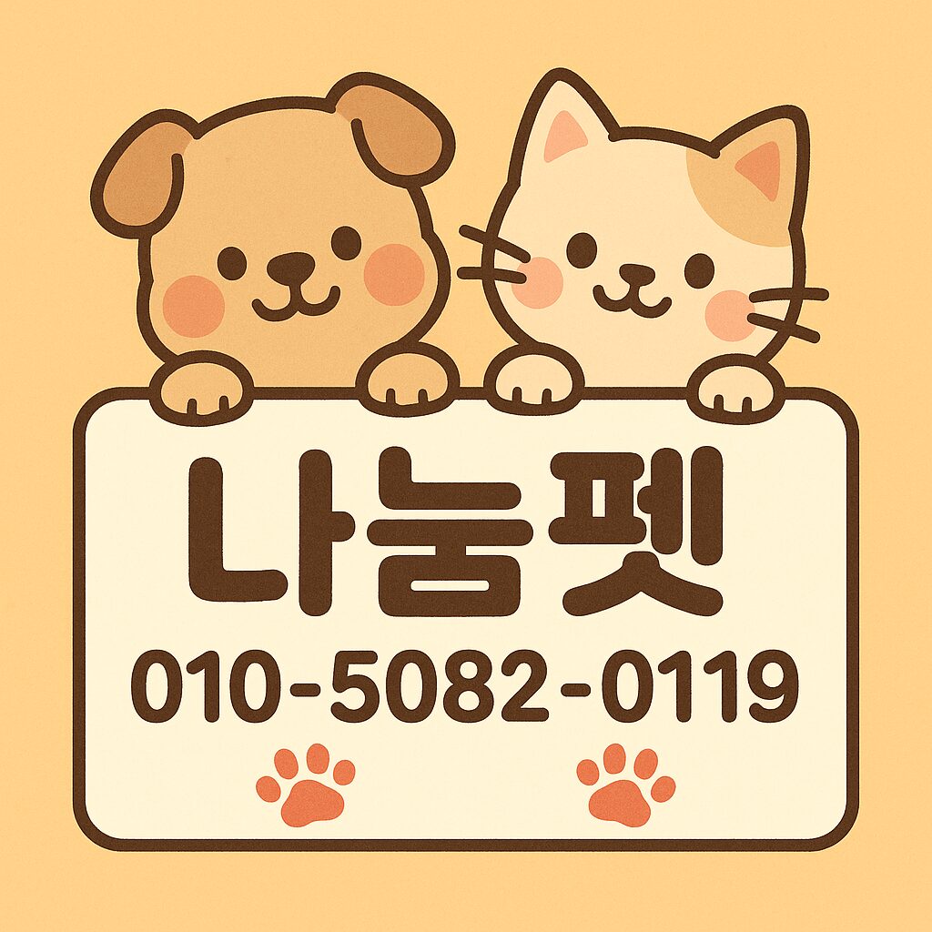 백석동강아지분양 가족을 만나는 첫걸음 - 디자인독
